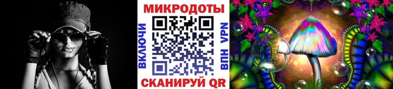 Псилоцибиновые грибы Psilocybine cubensis  Купить  Тбилисская 